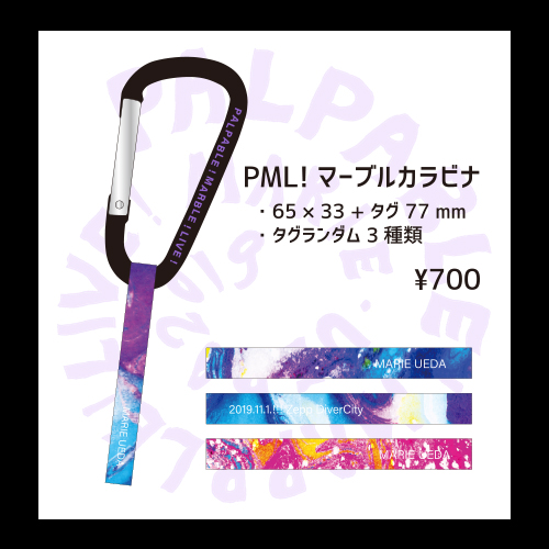 植田真梨恵　ハートブレイカー　PALPABLE MARBLE LIVE!　セット 植田真梨恵 Official Web Site